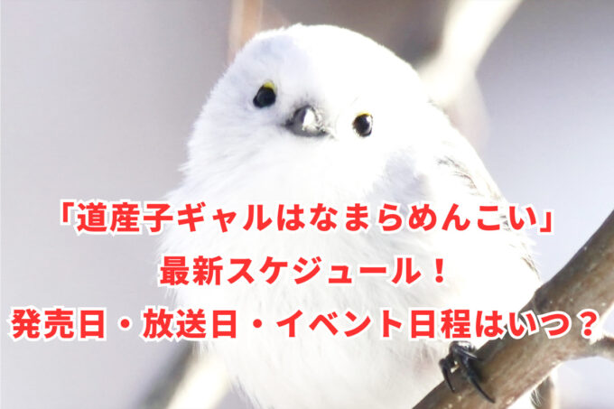 「道産子ギャルはなまらめんこい」最新スケジュール！発売日・放送日・イベント日程はいつ？