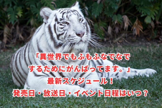 「異世界でもふもふなでなでするためにがんばってます。」最新スケジュール！発売日・放送日・イベント日程はいつ？