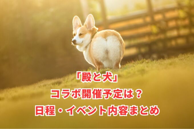 「殿と犬」コラボ開催予定は？日程・イベント内容まとめ