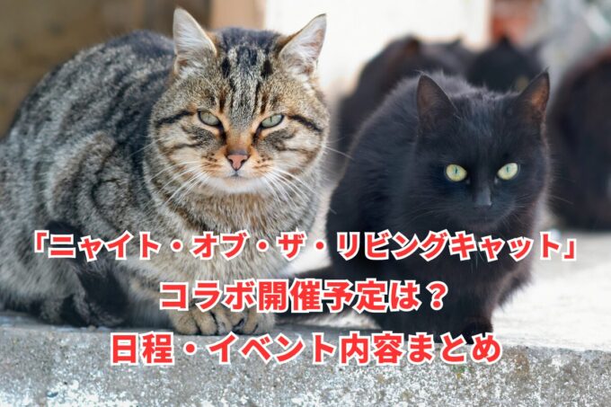 「ニャイト・オブ・ザ・リビングキャット」コラボ開催予定は？日程・イベント内容まとめ